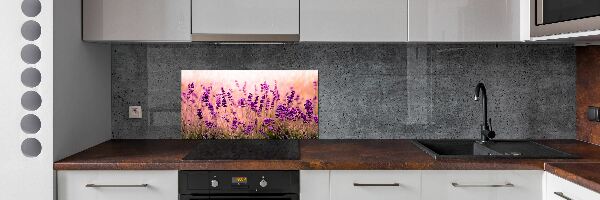 Küchen wandpaneel Lavendel
