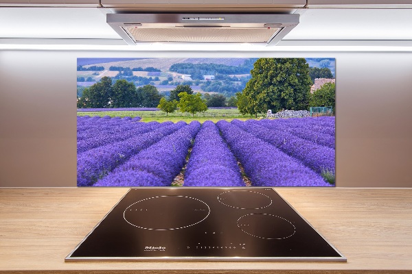 Platte für Küchenrückwand Lavendelfeld