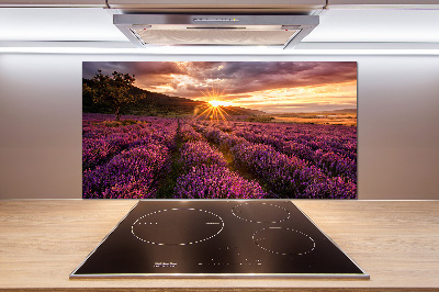 Glasrückwand für die küche Lavendelfeld