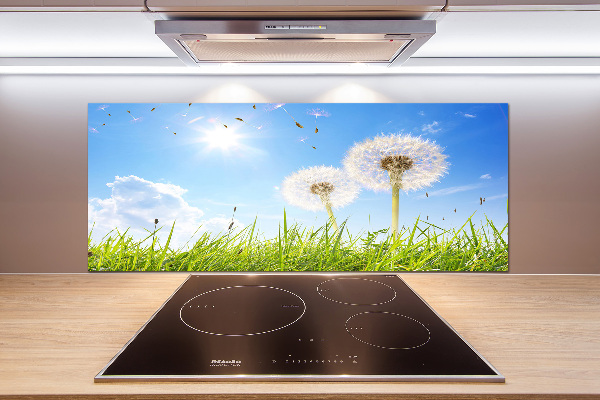 Küchen wandpaneel Löwenzahn