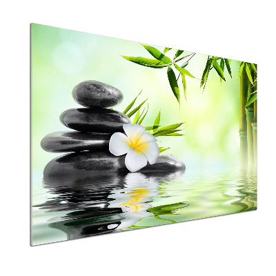 Glasrückwand für die küche Plumeria und Bambus