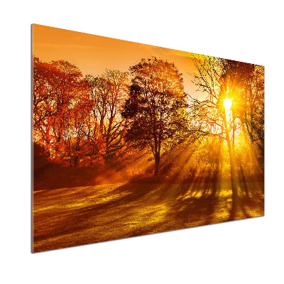 Küchen wandpaneel Sonnenuntergang