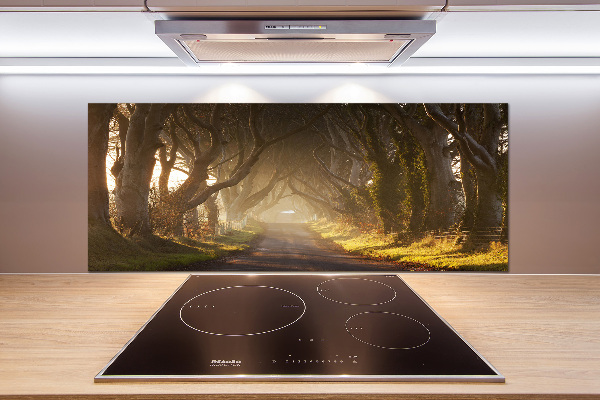 Glasrückwand für die küche Nebel im Wald