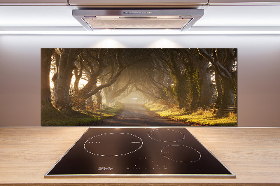 Glasrückwand für die küche Nebel im Wald