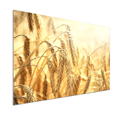 Küchen wandpaneel Getreide