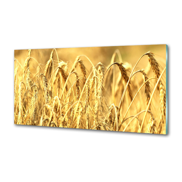 Glasrückwand für die küche Getreide