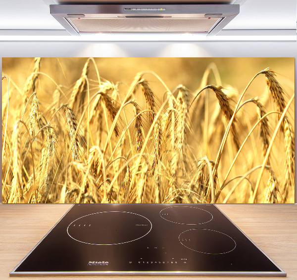 Glasrückwand für die küche Getreide