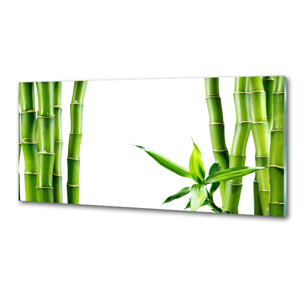 Platte für Küchenrückwand Bambus