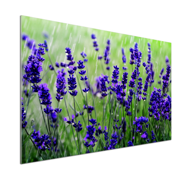 Küchen wandpaneel Lavendel