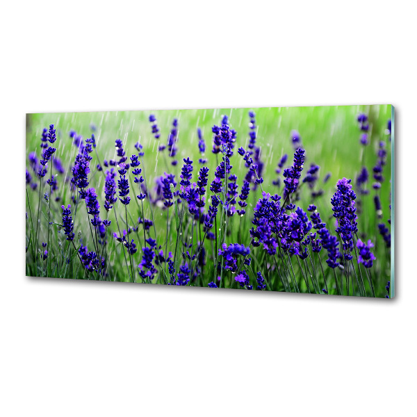 Küchen wandpaneel Lavendel