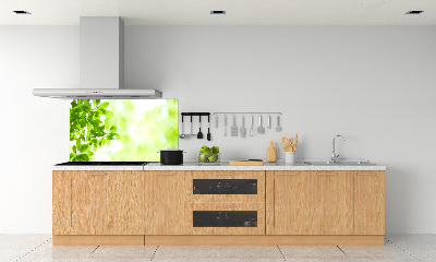 Glasrückwand für die küche Blätter