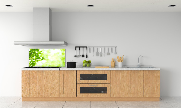 Glasrückwand für die küche Blätter