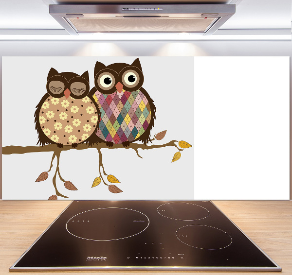 Glasrückwand für die küche Zwei Eulen auf einem Ast