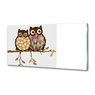 Glasrückwand für die küche Zwei Eulen auf einem Ast