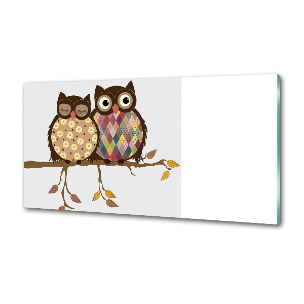 Glasrückwand für die küche Zwei Eulen auf einem Ast