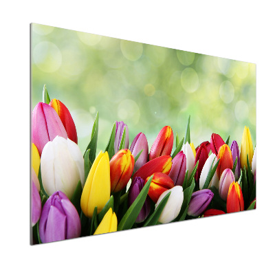Küchen wandpaneel Bunte Tulpen