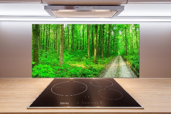 Platte für Küchenrückwand Bäume im Wald