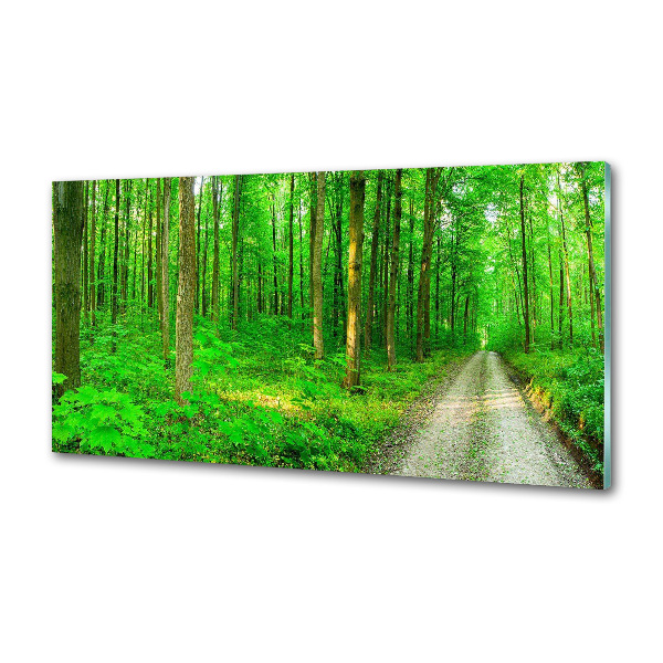 Platte für Küchenrückwand Bäume im Wald