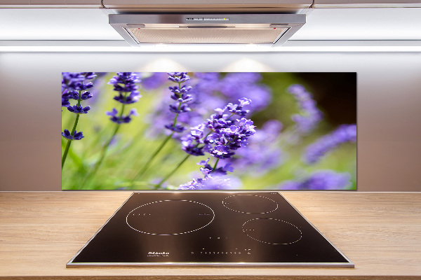 Glasrückwand für die küche Lavendel