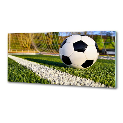 Küchen wandpaneel Der Ball ist im Tor