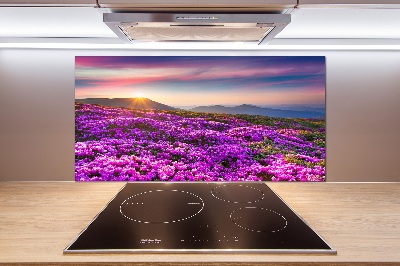 Küchen wandpaneel Blumen in den Bergen