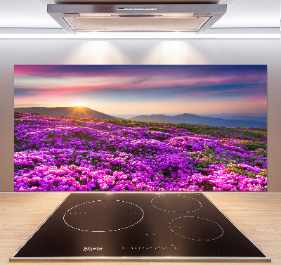 Küchen wandpaneel Blumen in den Bergen