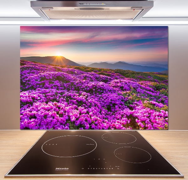 Küchen wandpaneel Blumen in den Bergen