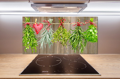 Glasrückwand für die küche Kräuter an einer Schnur