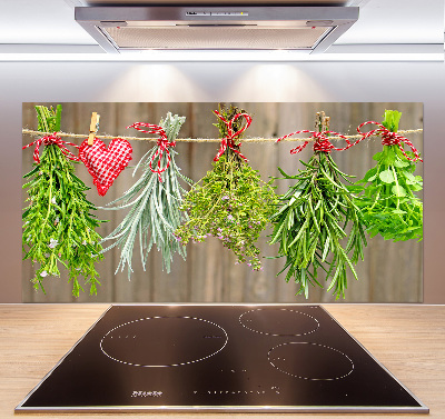 Glasrückwand für die küche Kräuter an einer Schnur