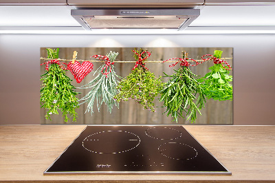 Glasrückwand für die küche Kräuter an einer Schnur