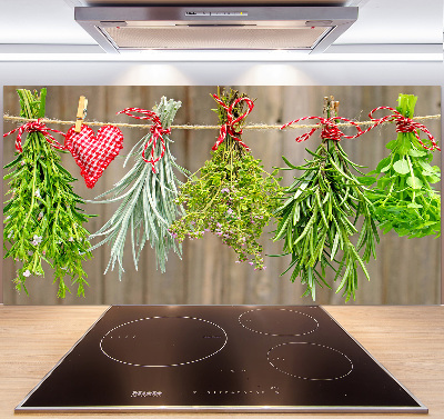 Glasrückwand für die küche Kräuter an einer Schnur