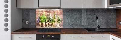 Platte für Küchenrückwand Kräuter an einer Schnur