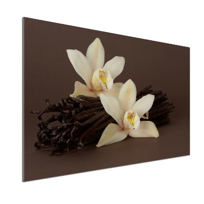 Glasrückwand für die küche Vanilleschoten