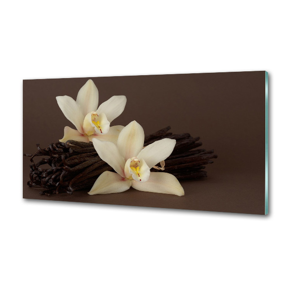 Glasrückwand für die küche Vanilleschoten