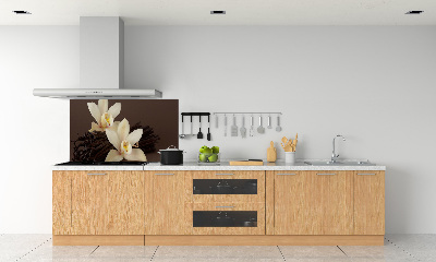 Glasrückwand für die küche Vanilleschoten