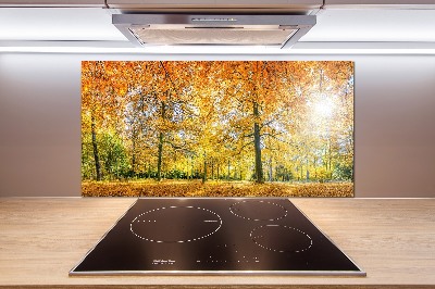 Küchen wandpaneel Wald im Herbst