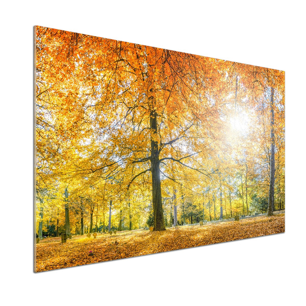 Küchen wandpaneel Wald im Herbst