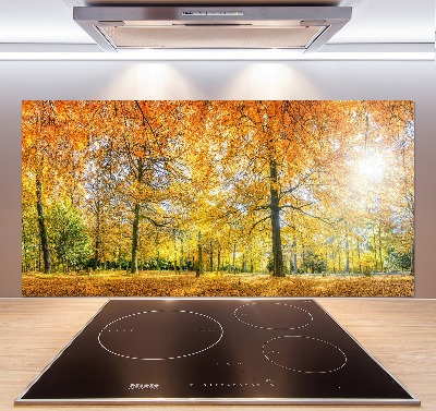 Küchen wandpaneel Wald im Herbst