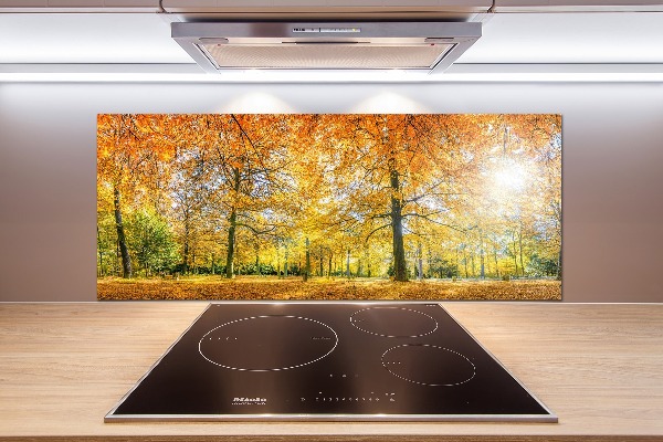 Küchen wandpaneel Wald im Herbst