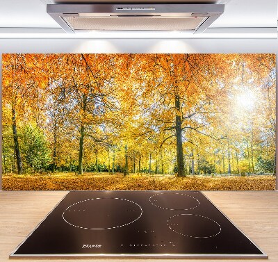 Küchen wandpaneel Wald im Herbst
