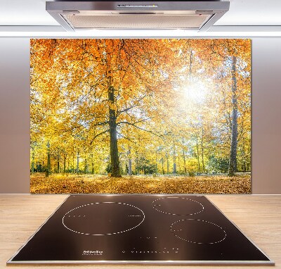 Küchen wandpaneel Wald im Herbst