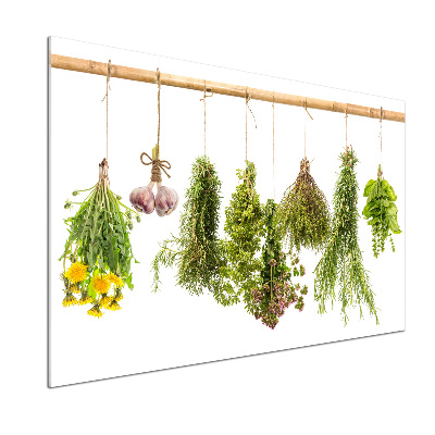 Küchen wandpaneel Kräuter an einer Schnur