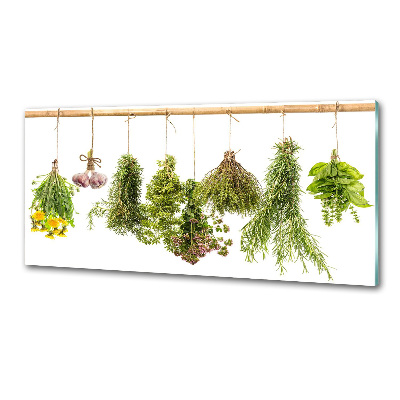 Küchen wandpaneel Kräuter an einer Schnur