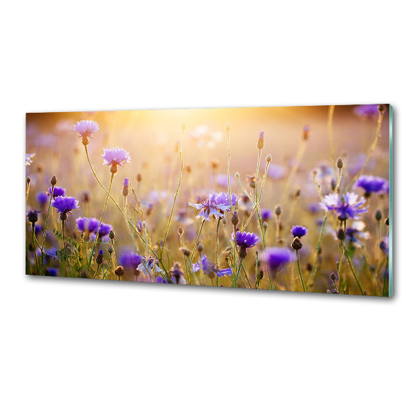 Platte für Küchenrückwand Wildblumen