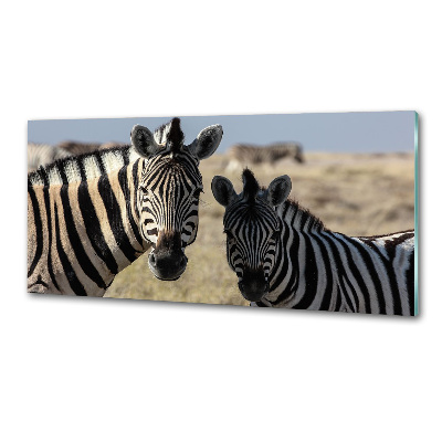Küchen wandpaneel Zwei Zebras