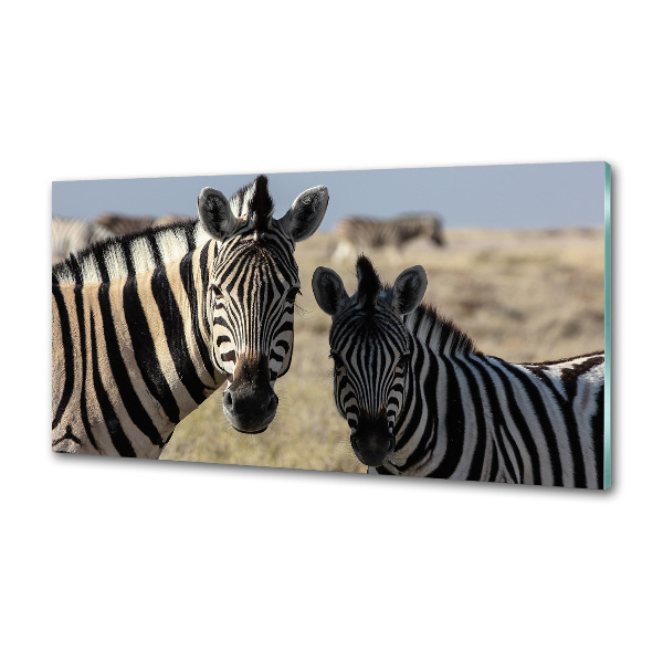 Küchen wandpaneel Zwei Zebras