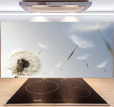 Glasrückwand für die küche Löwenzahn