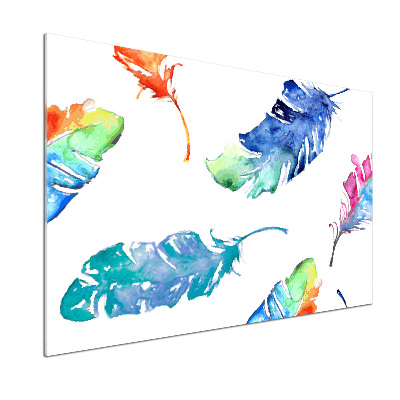 Glasrückwand für die küche Bunte Federn