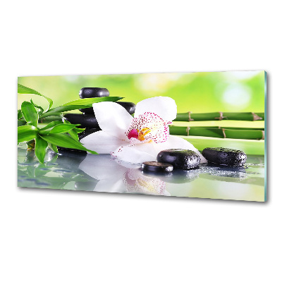 Platte für Küchenrückwand Orchidee