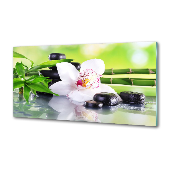 Platte für Küchenrückwand Orchidee